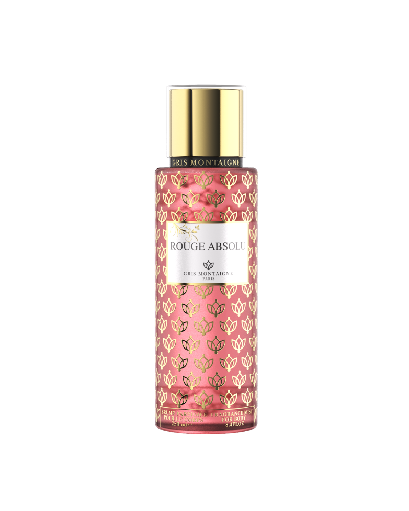 ROUGE ABSOLU - Brume - Gris Montaigne - 250ML
